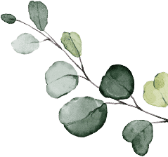 Professional photography and videography services in St. Louis and St. Charles County, specializing in weddings, family portraits, senior photos, headshots, branding photography, corporate events, and photo booth rentals. Capturing memorable moments with high-quality images and videos.